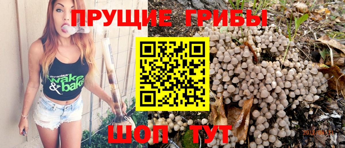 Галлюциногенные грибы Magic Shrooms Вологда