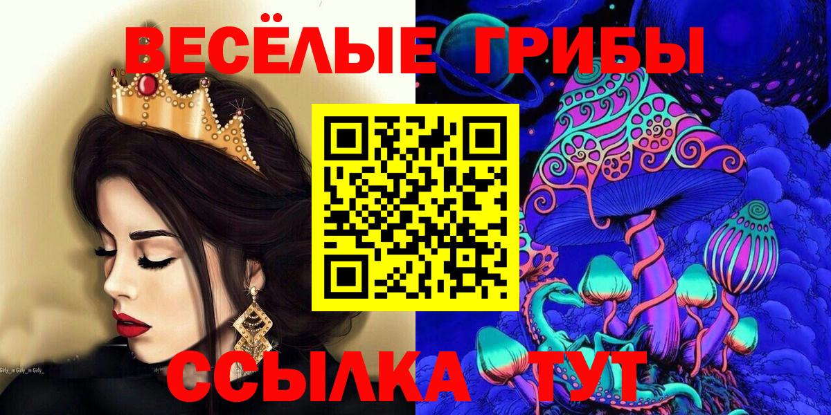 где можно купить   Псилоцибиновые грибы мицелий  Псилоцибиновые грибы GOLDEN TEACHER  Вход с VPN  Вологда 